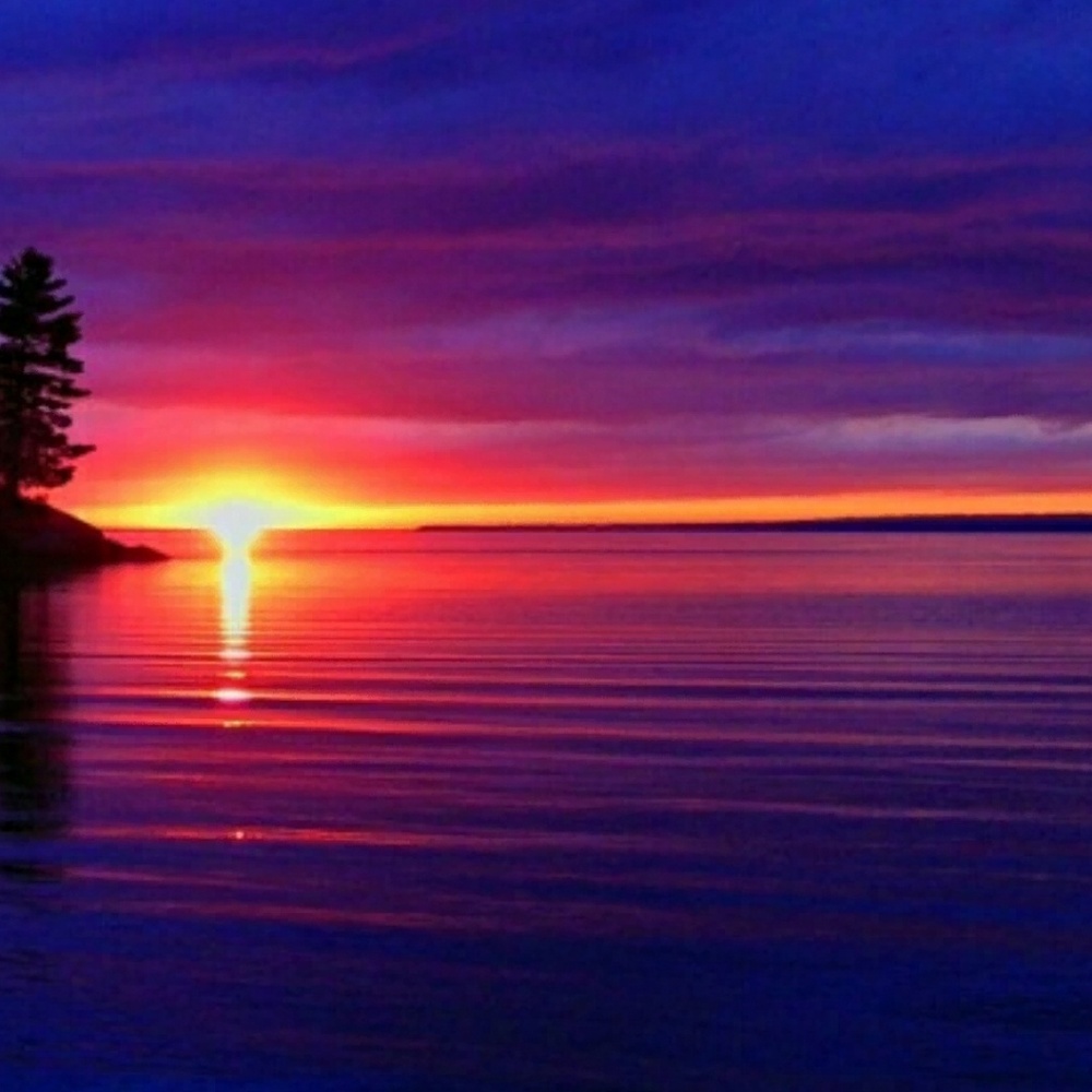 Meet your Posher, Rocio